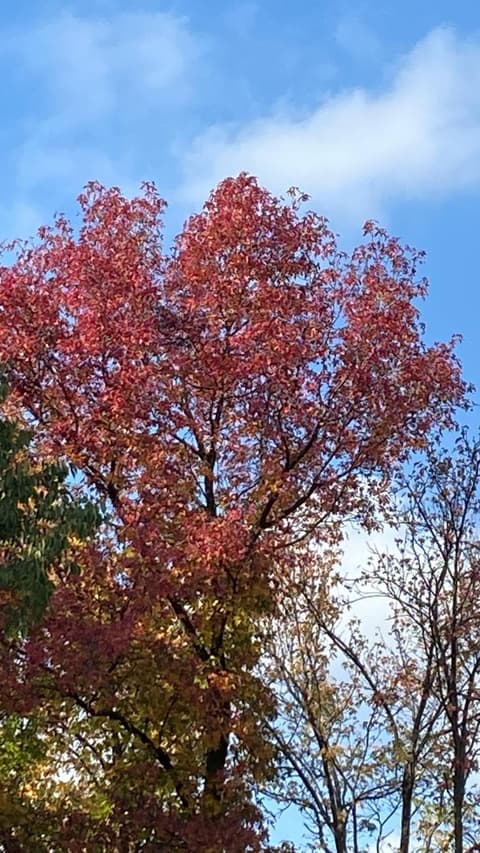 La Casa di Ciro GC & Friends