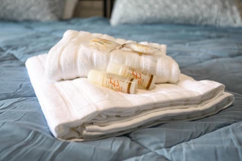 Domus Antica Trastevere