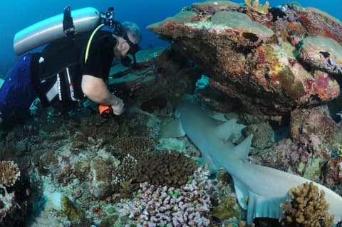 Dive Villa One Ocean