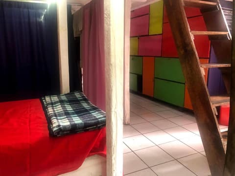 Iguana Hostel Oaxaca