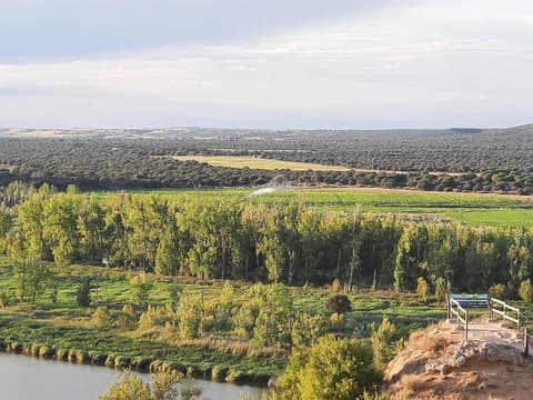 Beautiful Alamedas, un santuario donde el tiempo se detiene, 