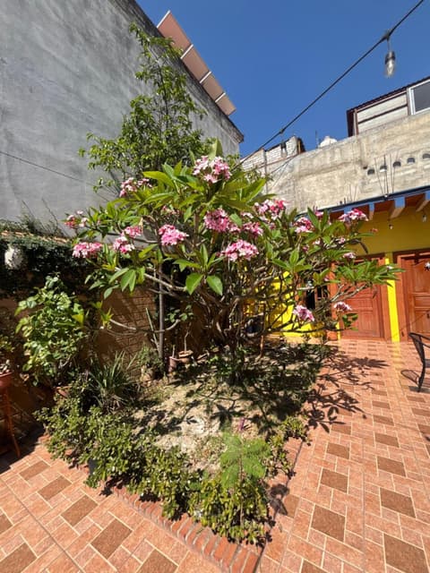 Hotel Posada "Mi Rosita"