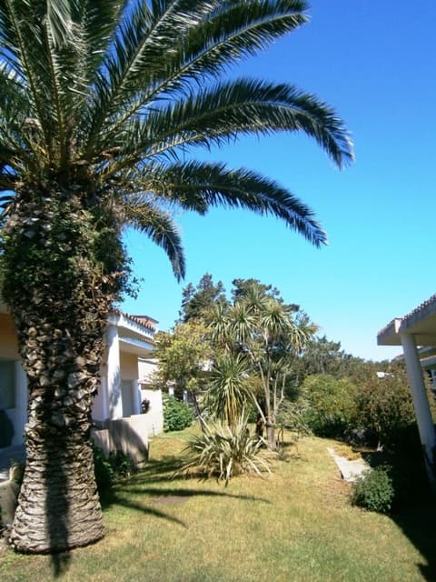 Casa Juniperus