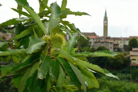 Agriturismo Crodi