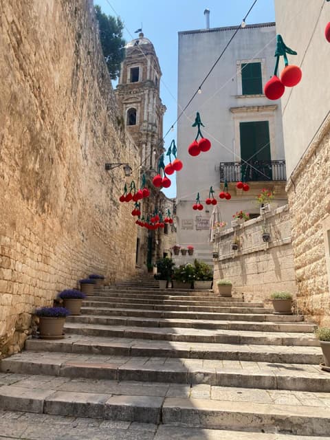 Terra di Polignano a Conversano