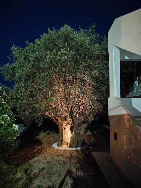 Hibiscus Green Apartments