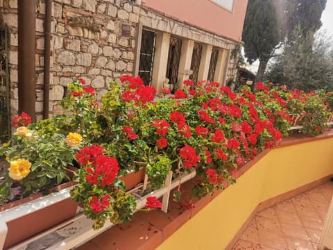La Cartolina Apartment