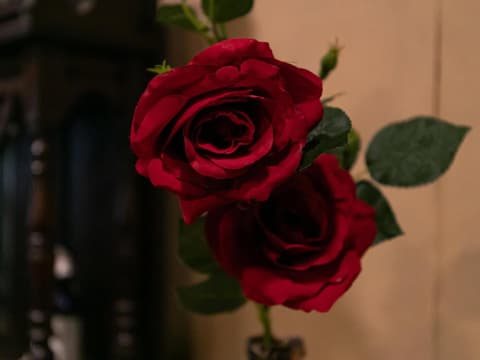 Victoria Inn Nagasaki