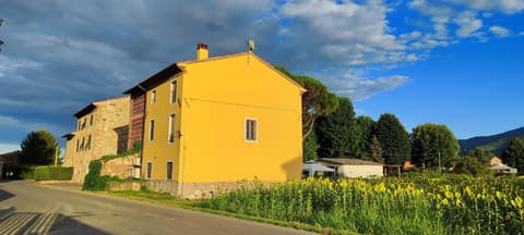 B&B Toringo