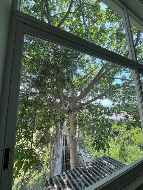 Almera Vallarta Hotel Suites