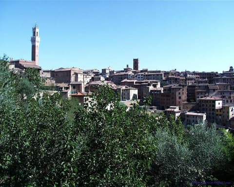 Bed & Breakfast Camollia