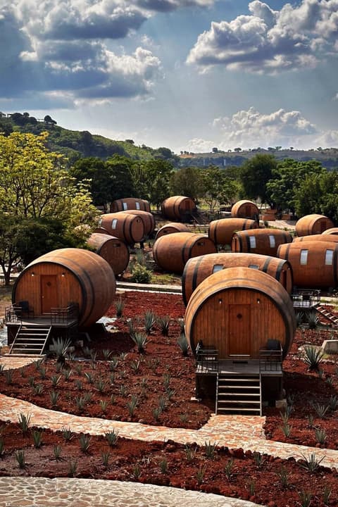 Matices Hotel de Barricas