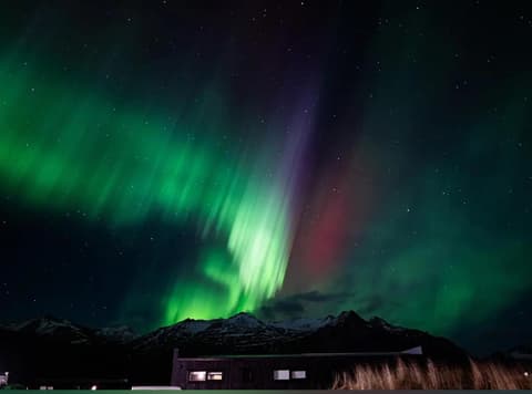 REY Stays - Small & Cozy Studio