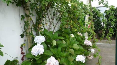 AZORES HOLIDAYS HOUSE -B&B - Suites - Self Check-in KEYBOARD, 