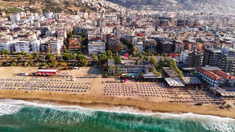 Cleopatra King Apart