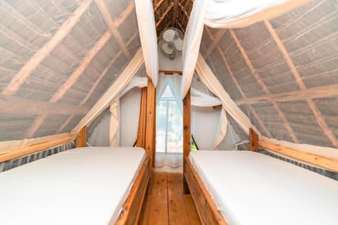 baobab Africa zanzibar