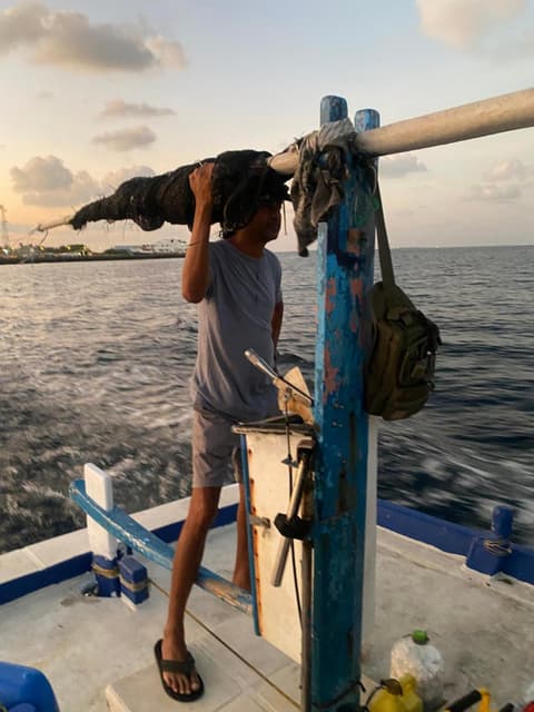 Velidhoo Inn