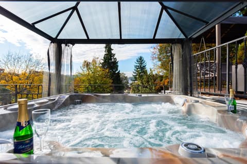 Wellness & SPA boutique Hotel pod lipkami Prague
