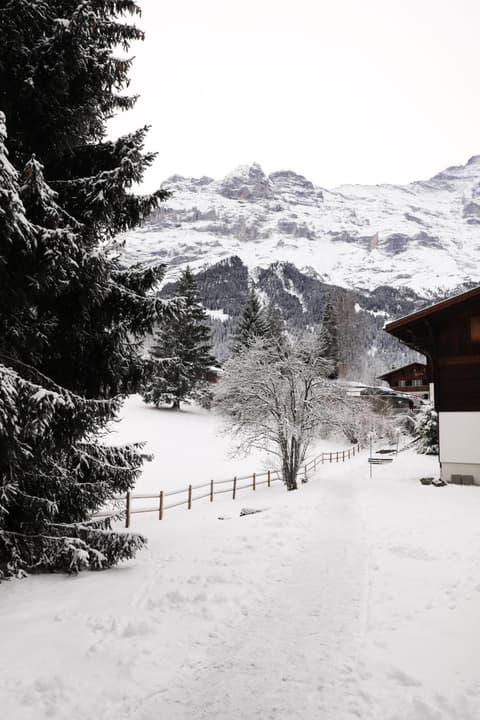 Brand New, 5min to Ski PARADISE !