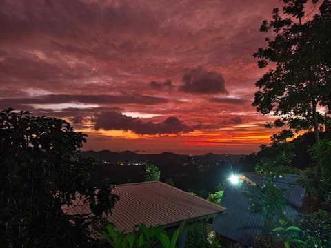 SZ SAMUI Glamping