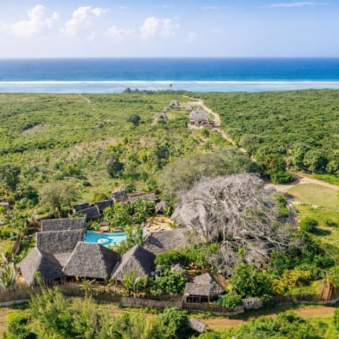 baobab Africa zanzibar