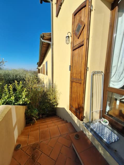 La casa del fenicottero