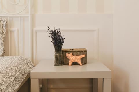 Hello Puli Parliament, 