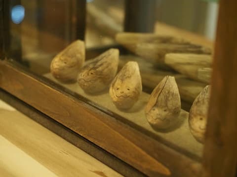 Guest House Moshiripa, 