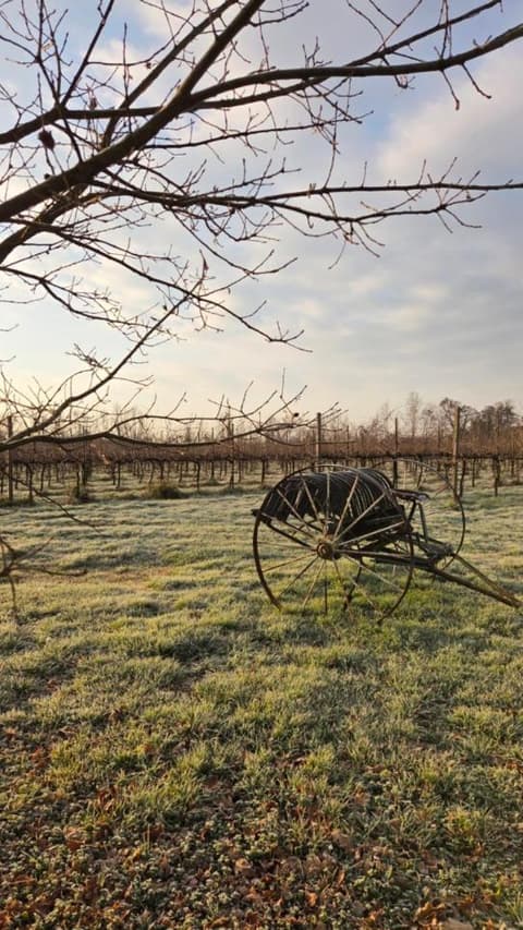 AGRITURISMO Barone Rosso