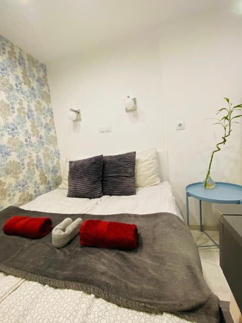 Downtown Mini Apartment