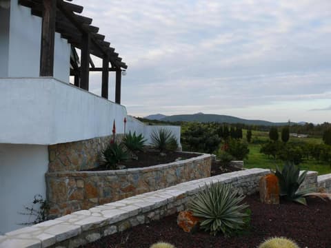 Secret View Glamp - Agave