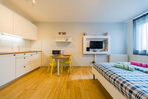 Flex SelfCheckIns 206 - 207- 210 - 211 - Zagreb - 4 Studio Units - Parking