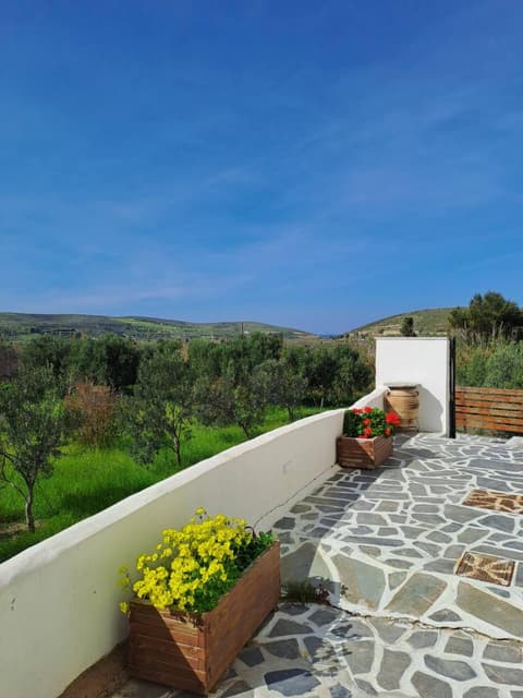 Naxos olive & home