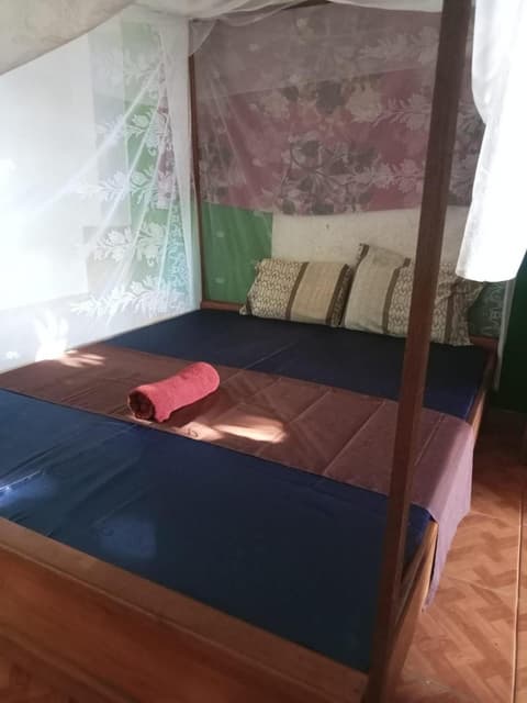 Apollo Hostel