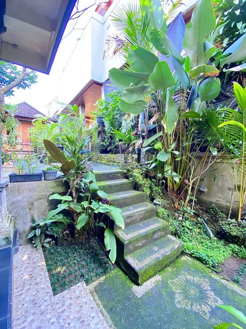 Pancer House