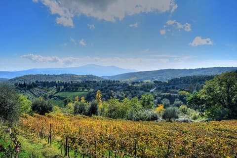 Agriturismo Fraschetta