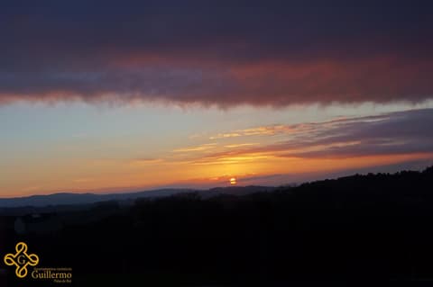 Apartamentos Turísticos Guillermo