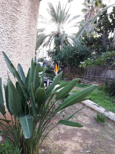 Etty's Hous - Boutique Hotel