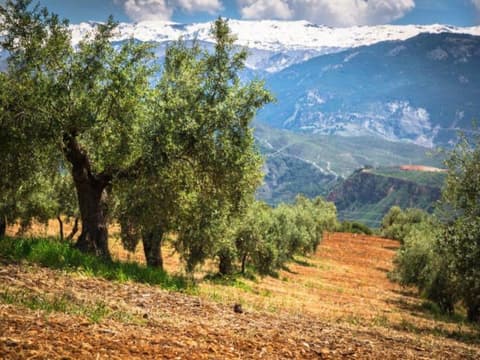 Von Madrid nach Andalusien, Selfbsfahren