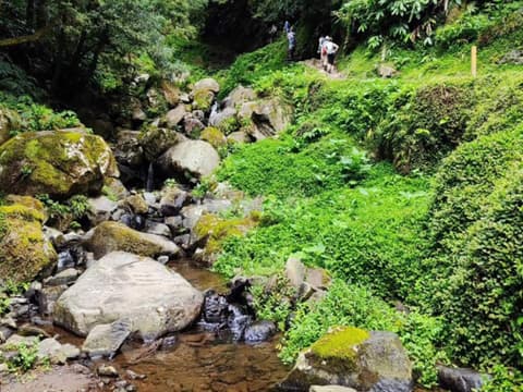 3-Day Essence of Faial: Volcanoes, Craters & Atlantic Horizons