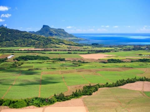 Einfach Mauritius (4* Hotel)