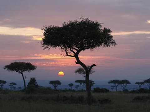 Kenya Classic, Sopa Lodges