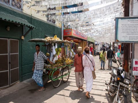 Découvrez le sud de l'Inde, guide francophone