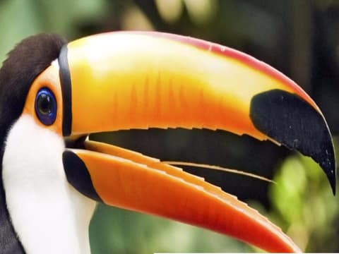 Costa Rica y Manuel Antonio 8 días, conducción por cuenta propia