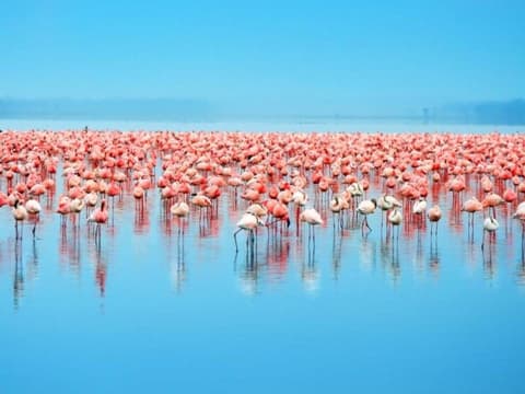 Kenya Highlights, Private Tour