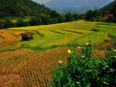 Lanzhou City Break, Private Tour