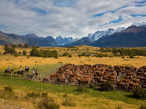 2-Day The Spirit of Patagonia: Ice Fields & Ranch Life