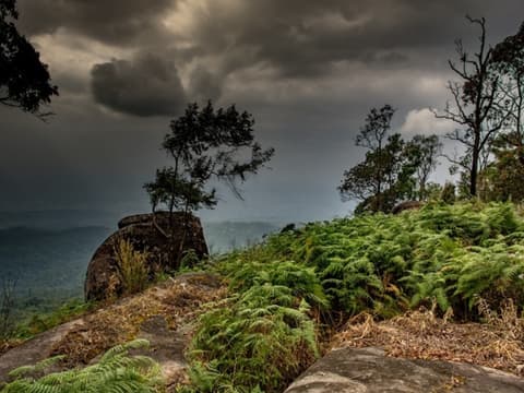 Isaan (Thailandia del Nordest) e fiume Mekong, Tour per Piccoli Gruppi