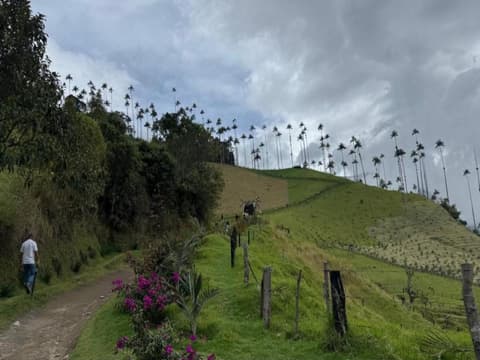 4-Day Pereira Coffee Region Experience, Private Tour