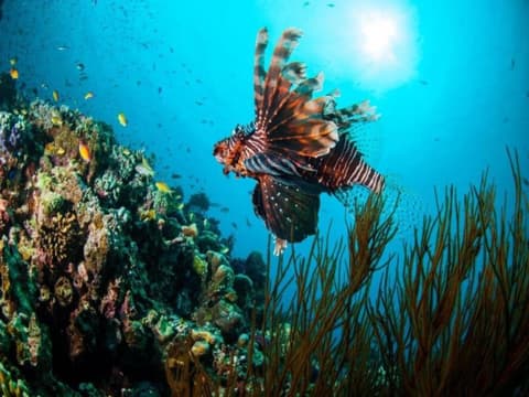 Exotic Gili Islands, Private Tour